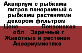 Аквариум с рыбками. 80 литров панорамный,с рыбками,растениями,декором,фильтром. › Цена ­ 7 000 - Пензенская обл., Заречный г. Животные и растения » Аквариумистика   